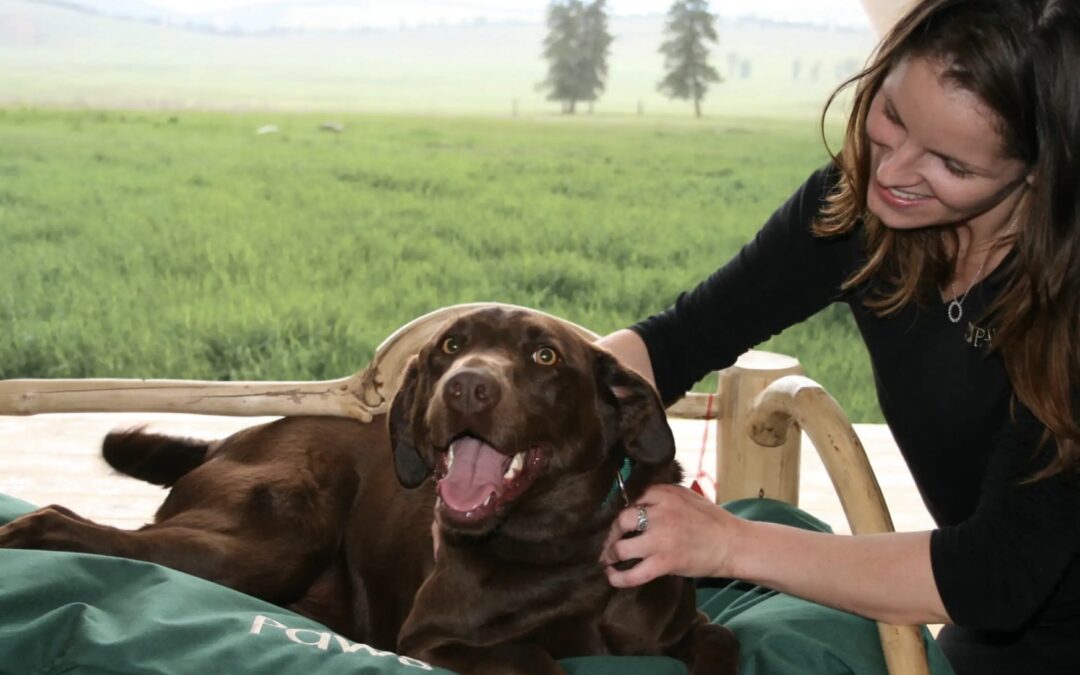 Celebrities Love This Montana Resort—But Its True VIP Guests Are Dogs
